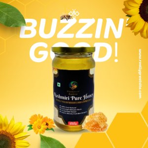 Kashmir Pure Honey – 250g